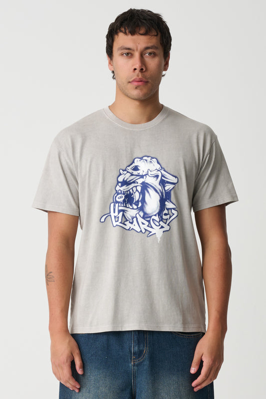 XL026W1009_PIGDOV_2_1765164461