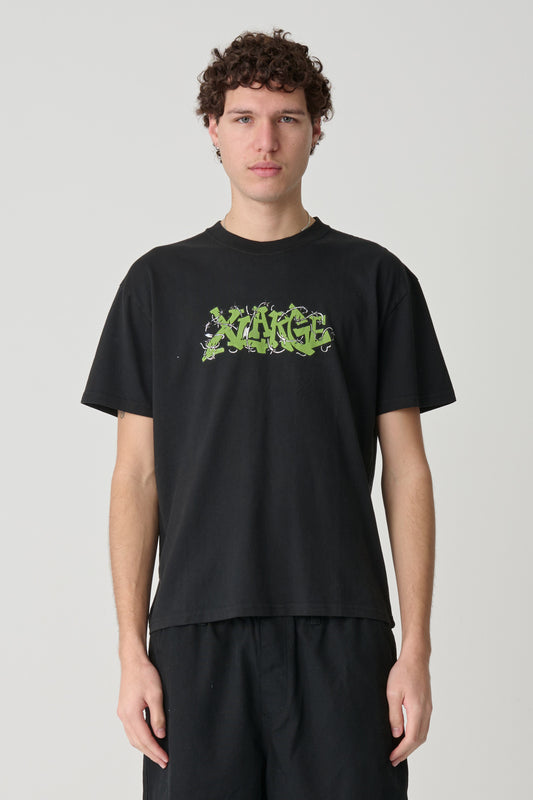 XL026W2010_PIGBLK_2_1772069110