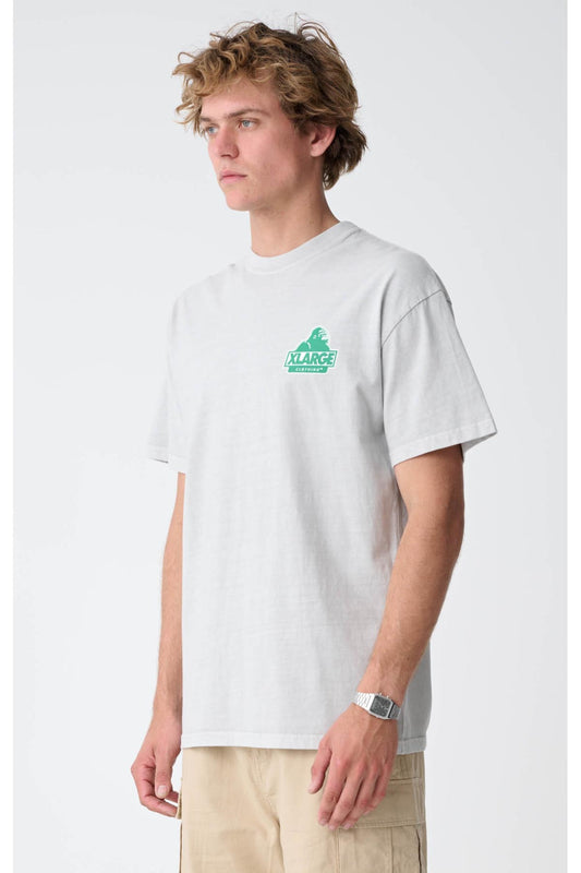 XL023S3005_PIGCEM_2_zmixoy_1702867890