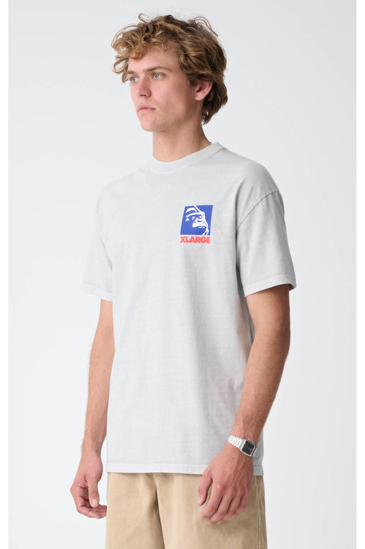 XL023S3009_PIGCEM_2_lx7j9m_1702867884