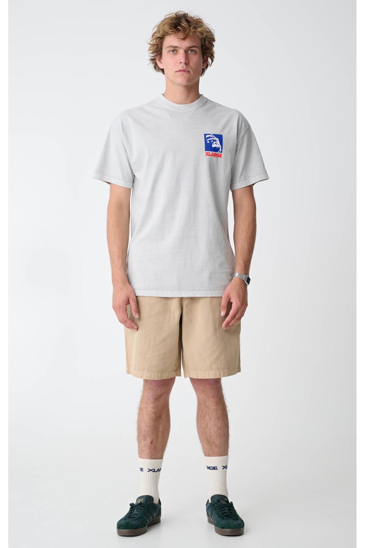 XL023S3009_PIGCEM_6_pkmdzn_1702867883