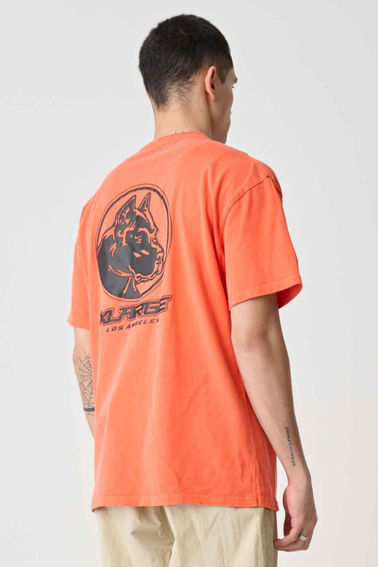 XL024W2004_PGTOR_3_xn1kvn_1708301231