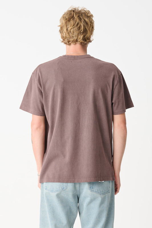 XL025S2000_PIGMOCHA_2_1753849740