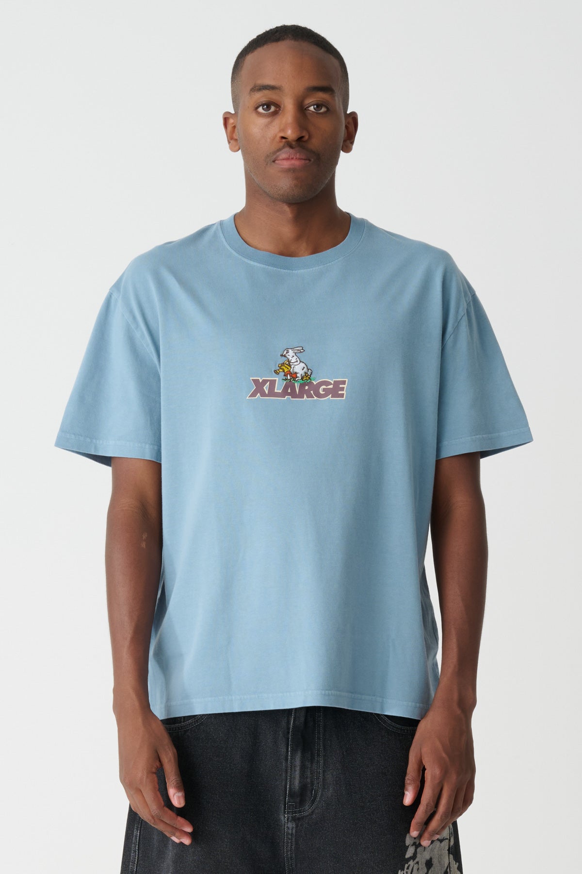XL026S2000_PIGCADBLU_2_1787884402