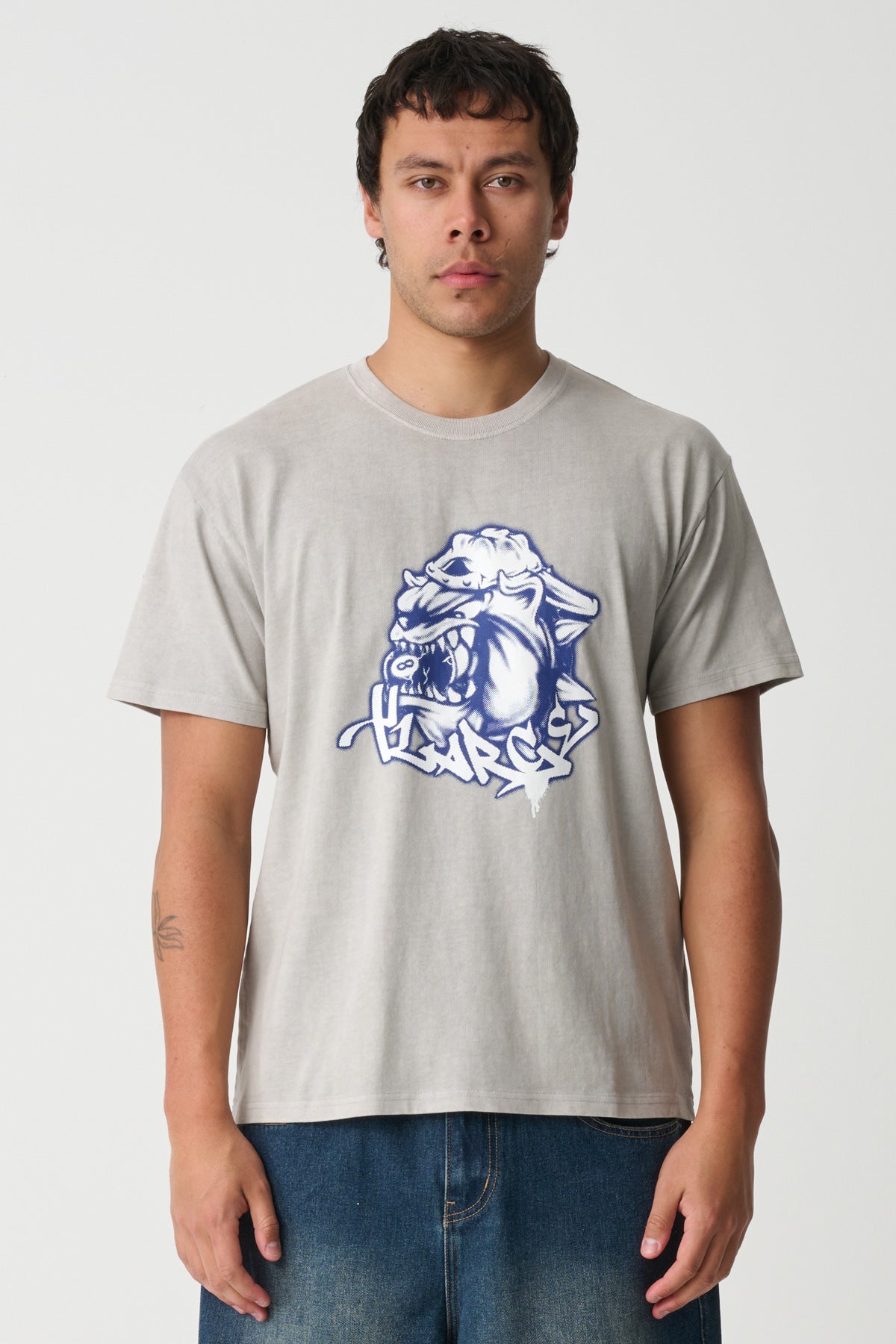 XL026W1009_PIGDOV_2_1765164461