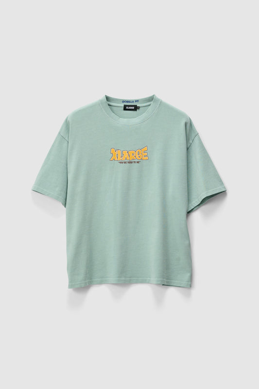 XL026W1020_PIGGMIST_1_1765164335