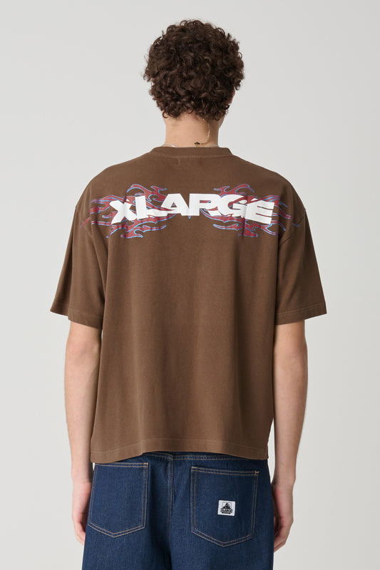 XL026W2015_PIGCOCOA_3_1772069126